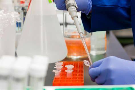 Infographic: silikoninių medžiagų klasifikacija ir spausdinimo technologijų spektras