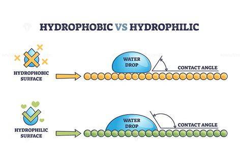 Infografika: Prenumer(interface) - How hydrophobic and hydrophilic microstructures work to shed water on wood