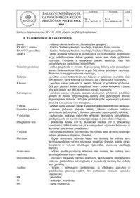 Infografika: Salonų priežiūros skaidrės ir medžiagų palyginimas
