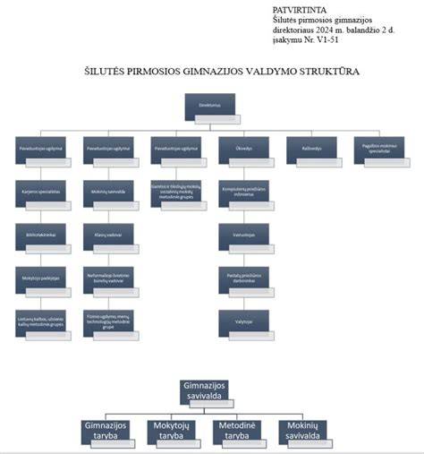 Greicio valdymo principo schema