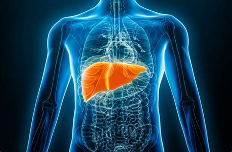 Simptomai, rodantys kepenų problemas