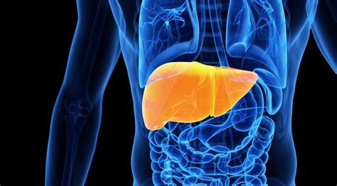 Nealkoholinės kepenų suriebėjimo ligos (NASKL) statistika