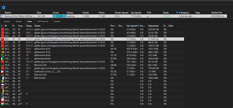 Infografika apie torrent ratio