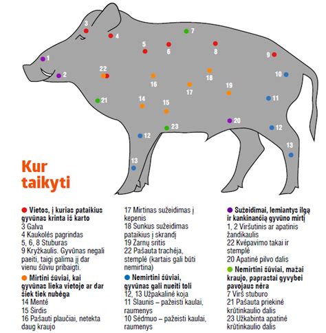 Kartograma: kur taikyti impregnavimą klinkerio paviršiuose