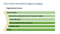 Infografika: Diskų dydžių įvairovė ir tipai