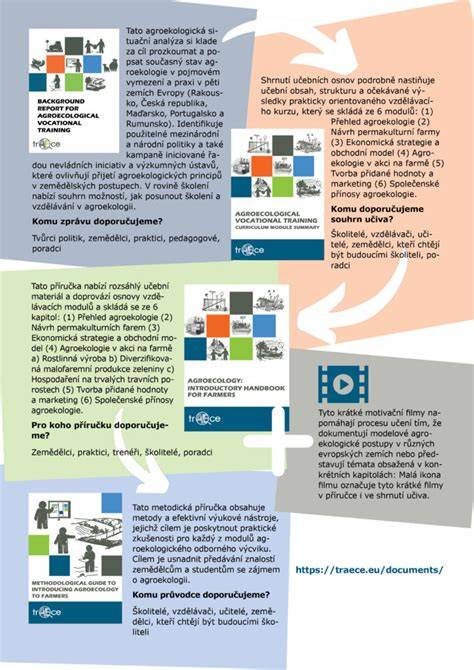 Infografika: Silikono uždėjimo žingsniai vonioje