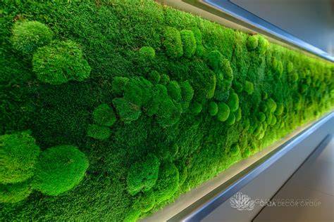 Vertikalūs augalų skydai ir samanų sietynas publikacijoje Biofilinis dizainas