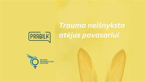 Informacijos apie pristatymą pavyzdys