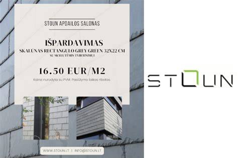 Infografika: Fasado apdailos medžiagų įvairovė, jų charakteristikos ir tarnavimo laikas