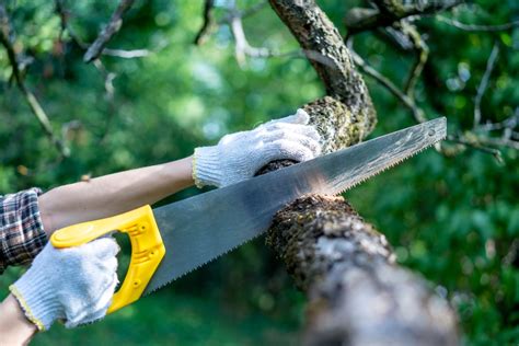 Skirtingų EPS markių ir jų panaudojimo schematinis vaizdas
