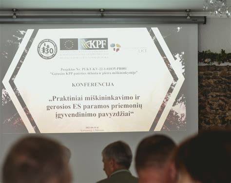 Lenktų profilių įgyvendinimo pavyzdžiai