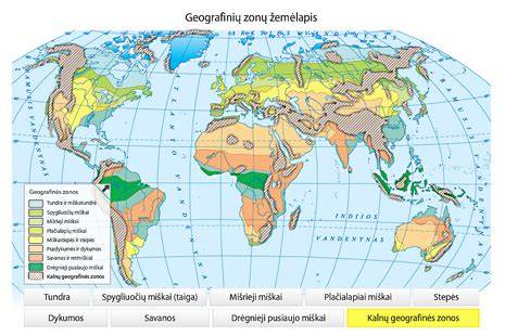 Geologinė silikatų įvairovė Žemėje