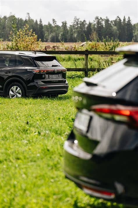 Įmonės transporto parko vizualizacija: markės VW ir Mercedes-Benz/Sed