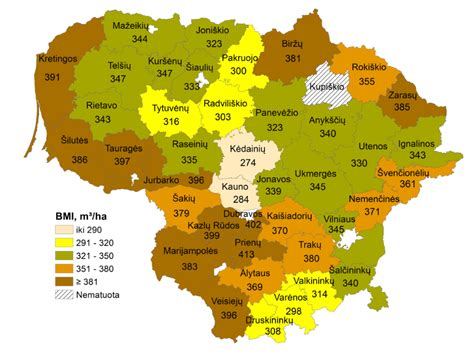 Garsus grafikas apie brandžių medynų tūrių pokyčius per 2002-2017 m.