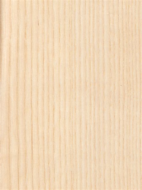 Uosio medienos tekstūra