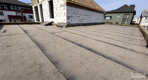 Žalias pabarstas ant bituminės dangos