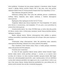Infografika: cemento gamybos grandinė nuo žaliavų iki galutinio produkto