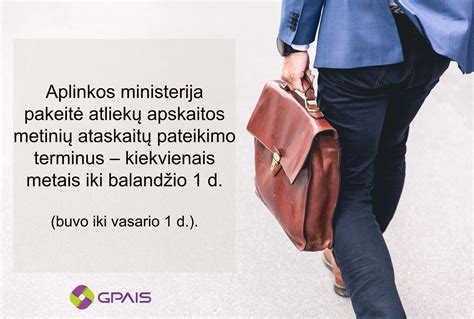 Infografika: GPAIS terminai ir suvestinių pateikimo grafikas