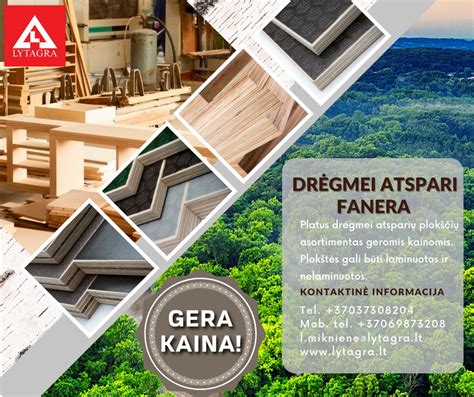 Drėgmei atspari beržinė fanera infografika: jų sluoksniai, kryžminė orientacija ir WBP klijai