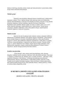 Darbuotojo profilio portreto kontekstas: šiuolaikinė įmonės vizualinė strategija