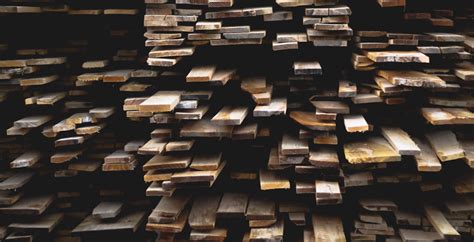 Medienos rūšys rūkymui