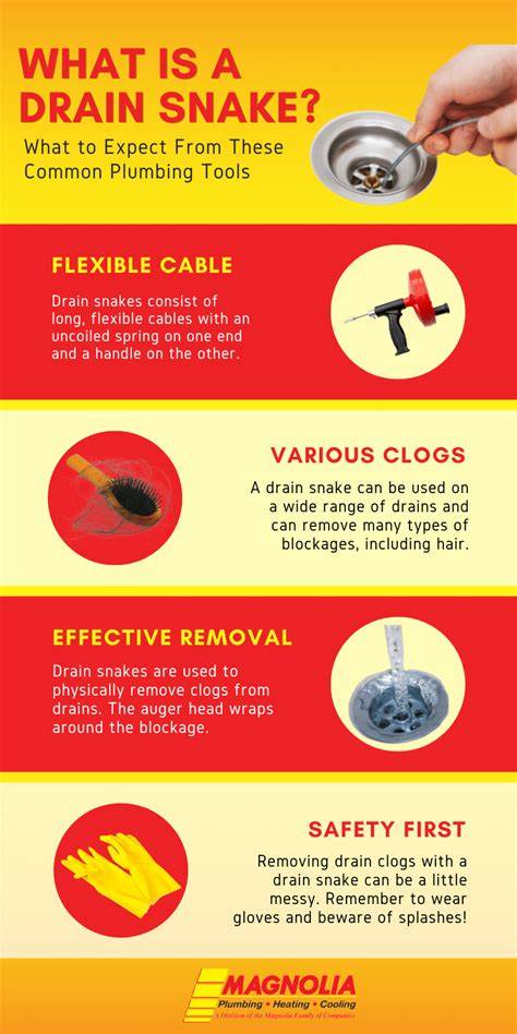 https://example.com/images/bore-snake-usage-infographic.jpg