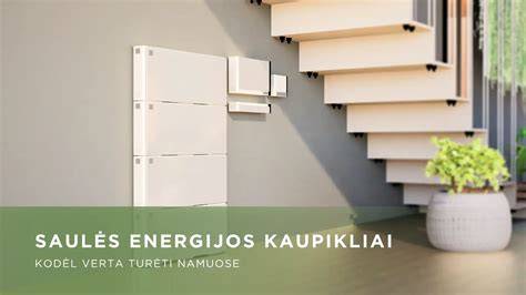 Infografika: Mineralinės vatos nauda energijos taupymui ir mikroklimatui