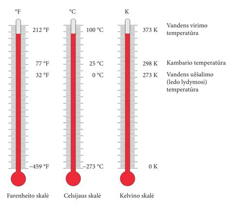 Infografika: Džiovinimo metodų palyginimas - temperatūra, laikas, energija ir kokybė
