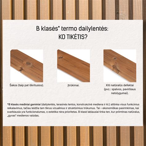 Termo medienos žaliosios žaliavos grandinė: termo apdorojimas ir medienos kaip resurso užtikrinimas