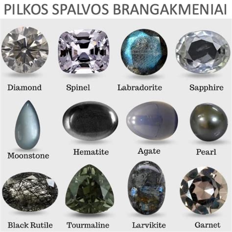 Akmenų rūšys ir jų pritaikymas alpinariumui