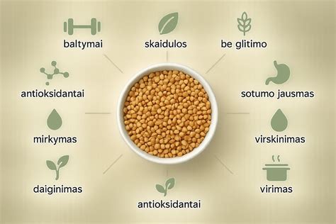 Infografika apie MPP plokščių veikimą ir jų sudėtį