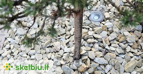 Įvairūs dekoratyviniai akmenys sodui