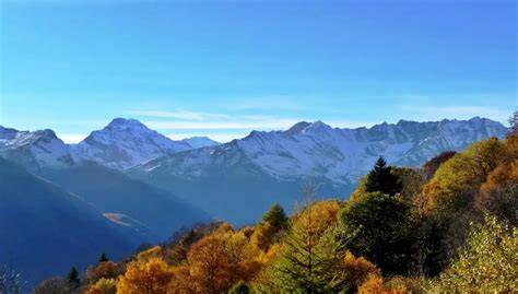 ALPI lakštų lukštai
