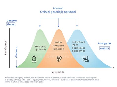 Interaktyvi informacinė grafinė schema apie vaiko raidos raidos etapus ir vertinimo procesą