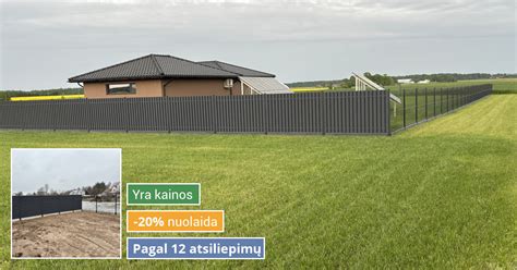 Ultragarsinis sklerometras ir plaktukas - schematinis vaizdas
