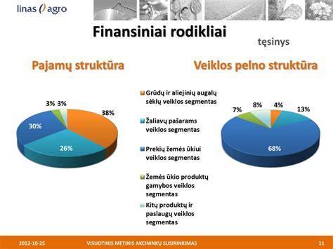 Infografika: įmonės pagrindiniai finansiniai rodikliai (pajamos, pelnas, pelno marža, turtas, nuosavas kapitalas)