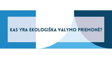 Infografika: grindų valymo priemonių tipai ir jų taikymas