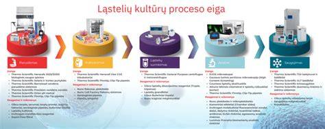 Infografika: Klojimo eiga nuo paruošimo iki glaistymo