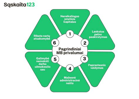 Infografika: Lietuvos mažosios bendrijos struktūra ir valdymas