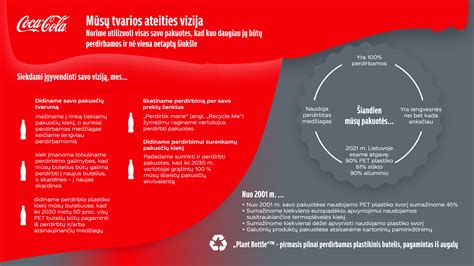 Infografika apie slapukų veikimą