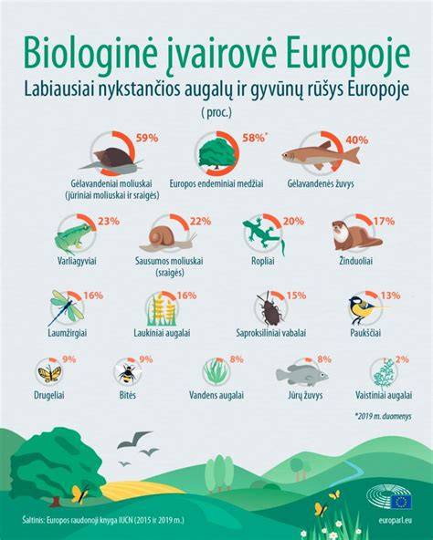 Infografika: Lipni juostų įvairovė ir pagrindinės savybės