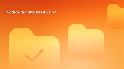 Schema, kaip veikia socialinio draudimo įmokų grindys