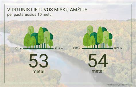 Infografika: Lietuvos miškų paskirtis, privatūs vs valstybiniai miškai ir vidutinis plotas