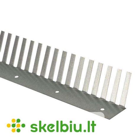 Apsauga nuo graužikų skydinio namo pamatuose