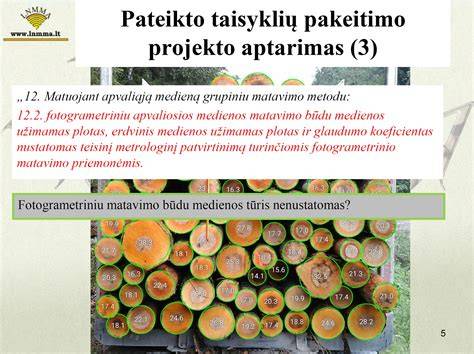 Infografika: Lietuvos nepriklausomų medienos matuotojų asociacijos matavimo vietos išsidėstymas