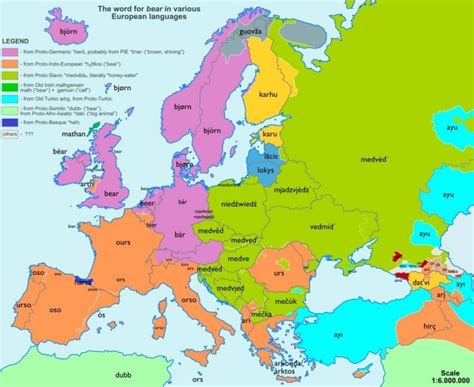 Žemėlapis su Europos šalimis, kuriose draudžiamos dygliuotos padangos