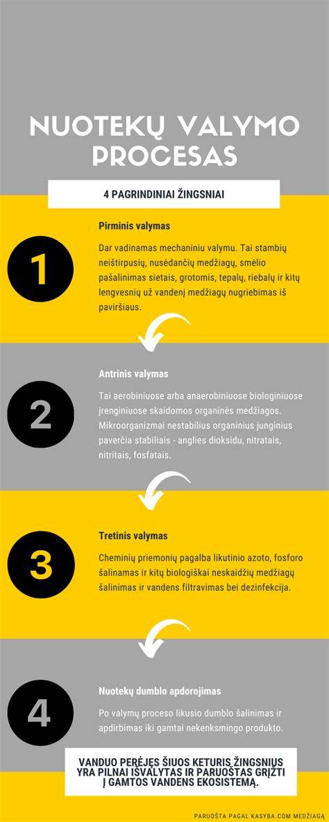 Infografika: kaip veikia kanalu tvarkymo valiklis