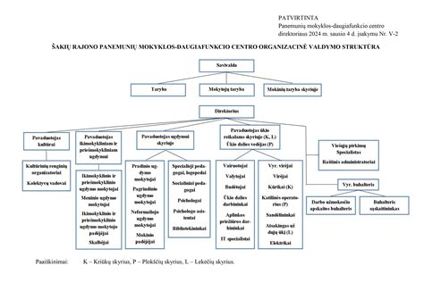 Kamštinio pakloto struktūra
