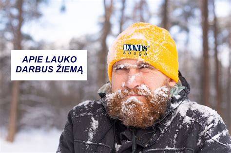 Infografika: „Dažymo lauke sąlygos: temperatūra, drėgmė, saulės poveikis“