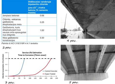 Grafikas: betoninių konstrukcijų ilgaamžiškumo didinimo schema